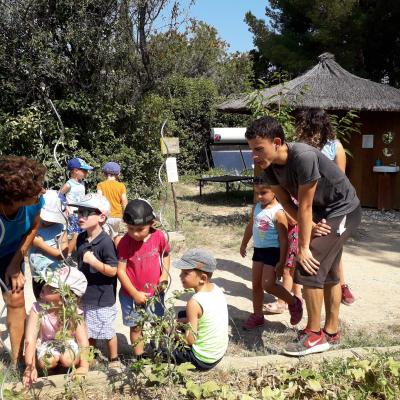 Atelier Potager