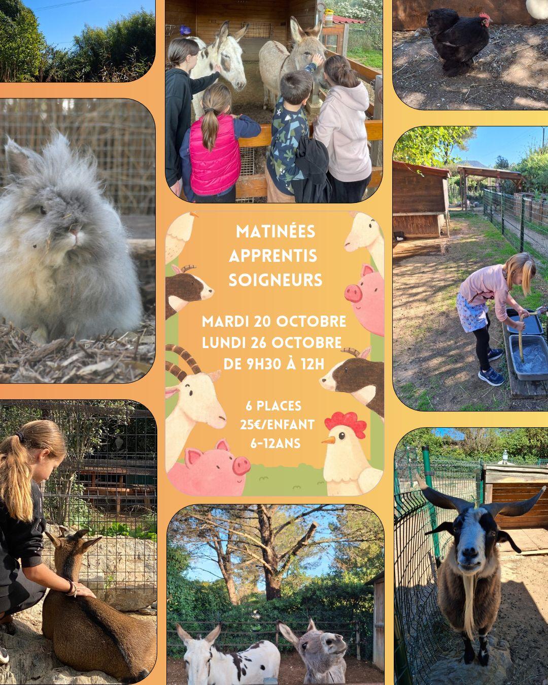 Affiche as oct 26